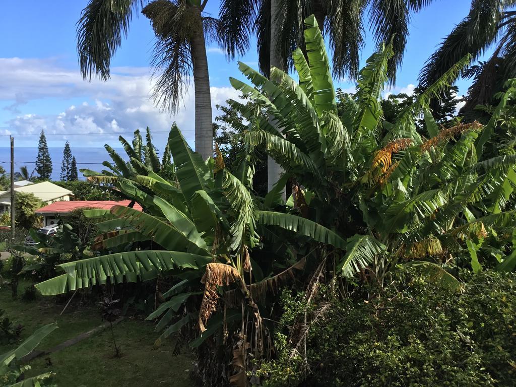 Hotel Honokaa Dış mekan fotoğraf